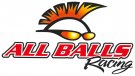 All Balls, Bromsok Rep. Kit Bak, KTM 15-17 250 Freeride, 15 350 Freeride, 11-17 85 SX, Husqvarna 14-17 TC 85 (17/14)/TC 85 (19/1